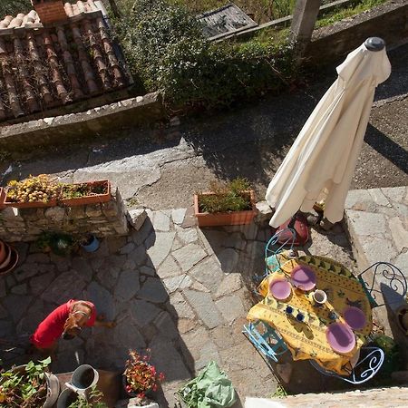 Willa Chezcatherine Sarzana Zewnętrze zdjęcie